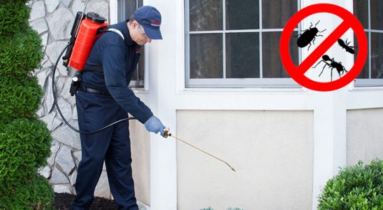 Muratlı Böcek İlaçlama böcek ilaçlama ve haşere kontrolü — ilaclama-tr.com